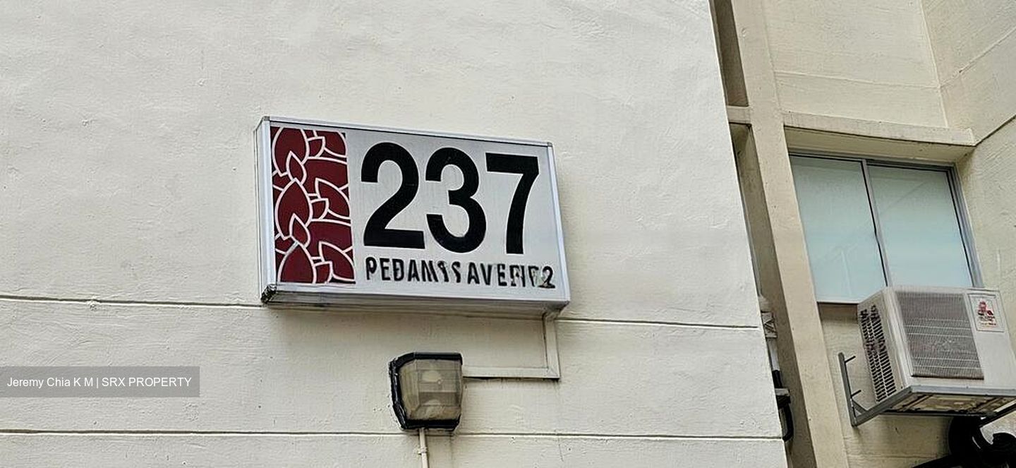 237 SERANGOON AVENUE 3 (D19), Shop House #575426751